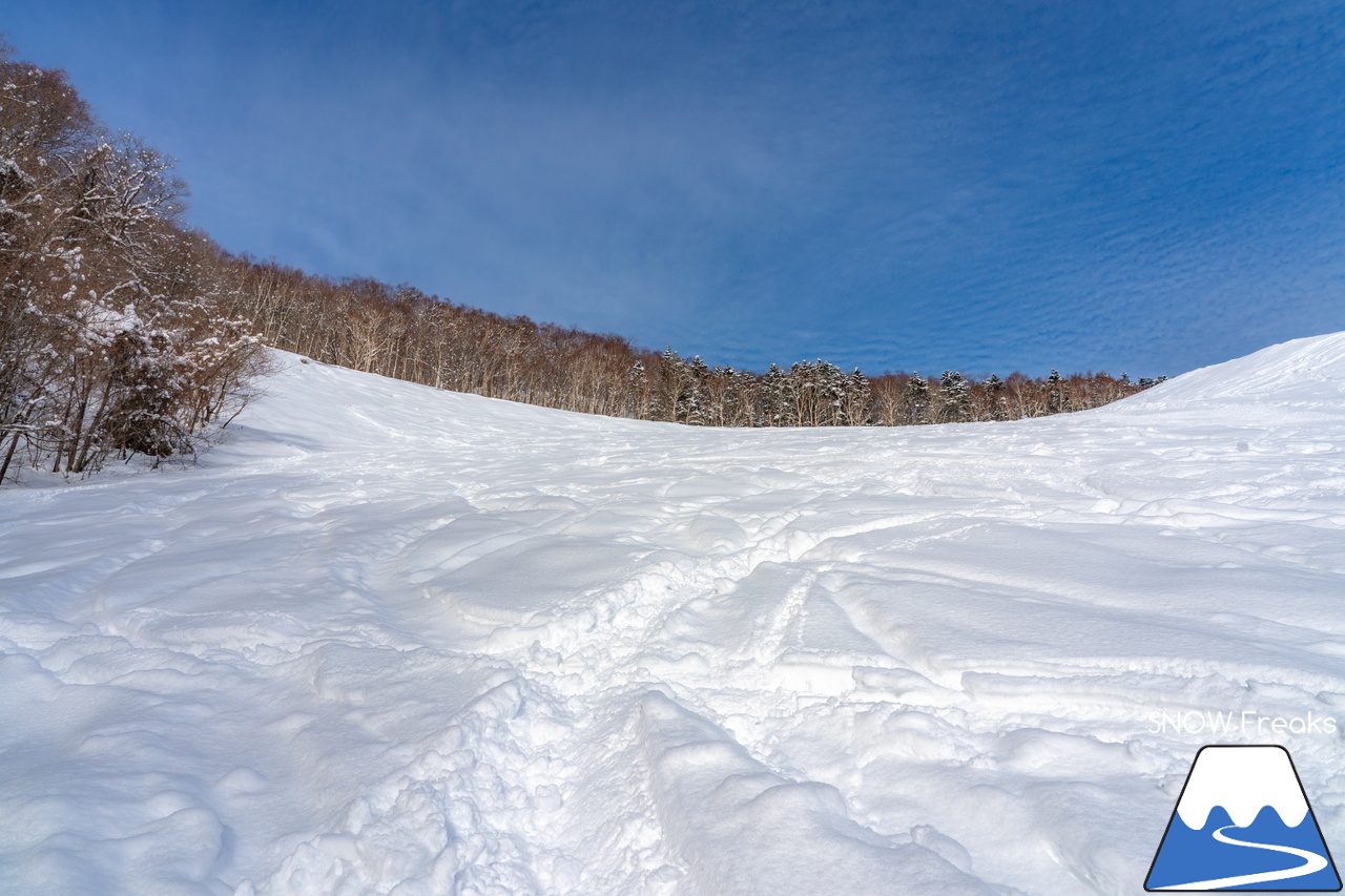 札幌藻岩山スキー場｜ふわっふわの粉雪シーズン到来！思いっきり多彩なコースを楽しみましょう！